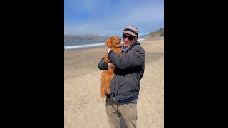 Mitchell Minute 1490-Ilhan Omar Removed From The Foreign Affairs Committee