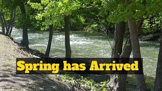 Spring has arrived to the Levisa River