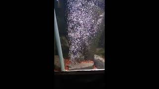 Underwater bubbles screen || water bubbles screen || water bubbles reference houdini Wealth