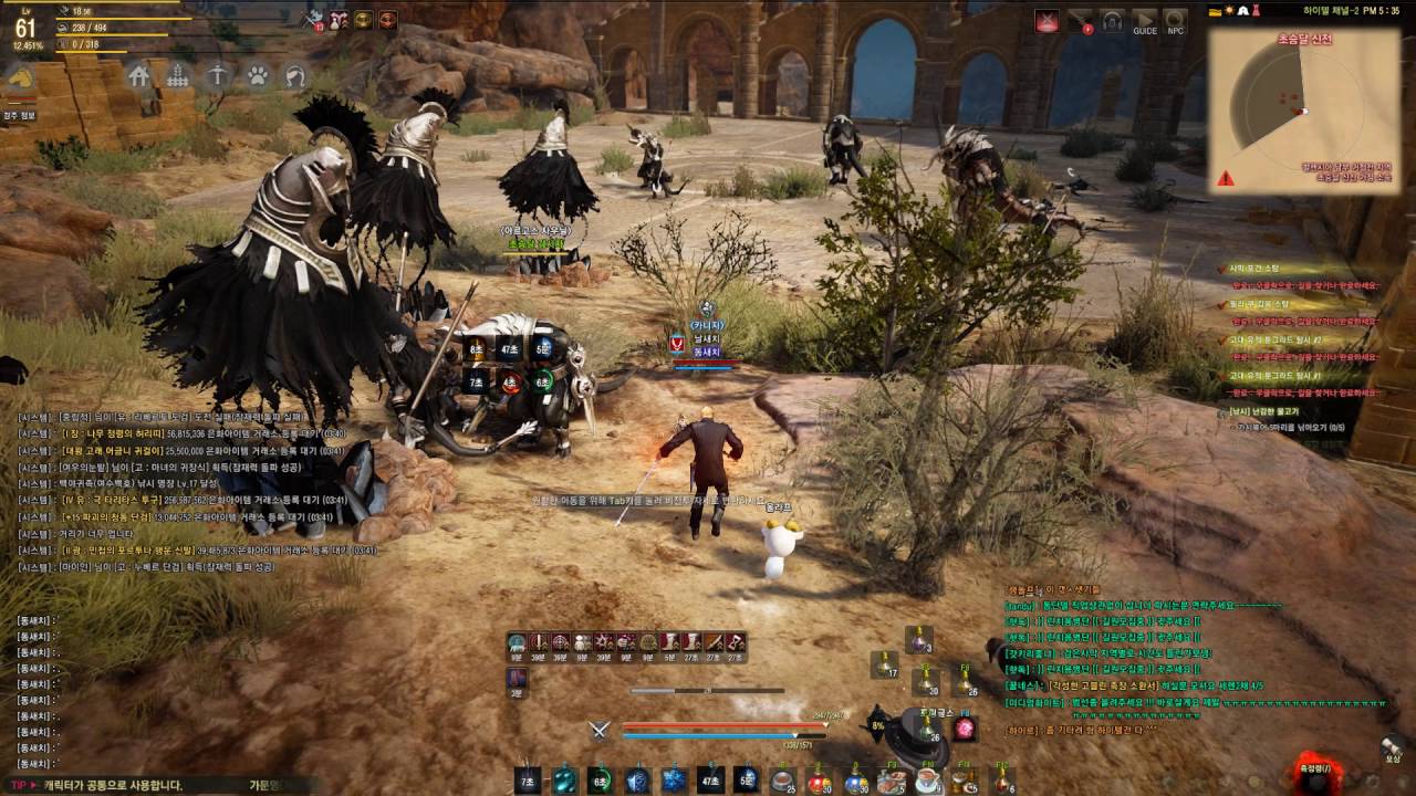 검은사막 각성 위자드 초승달 신전 사냥(Black Desert Online Wizard Awakening "Temple of