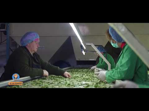 მე ვარ ფერმერი- დაფნის საწარმო