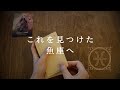 【魚座🎖️下半期の運勢】今期のうお座は一味違う❕人生レベルが大幅アップグレード🌈✨2026年タロット