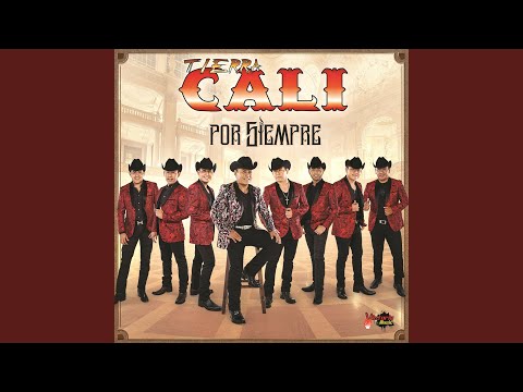 Voz De Mi