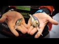 2016 ICAST | 6th Sense | Zack Birge