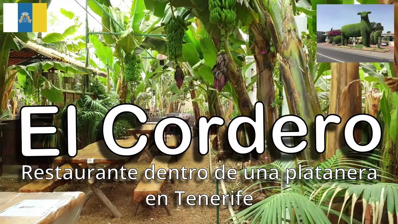 Sabor Canario: Descubriendo 