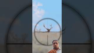 #huntingseason #sniper #archery #professionalhunting #games #woodcockhunting #hunter #hunting screenshot 2