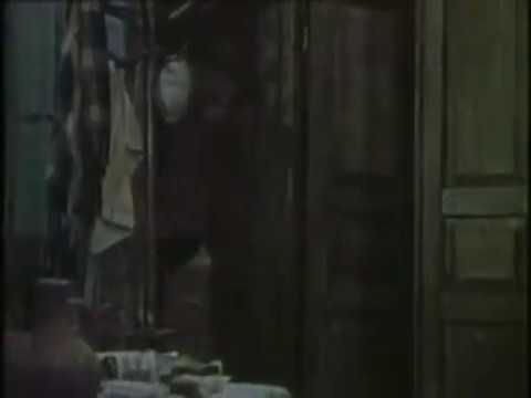 პაჭუ მოვიდა