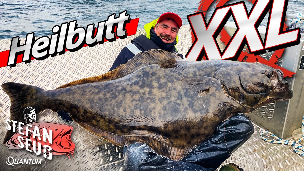 Heilbutt XXL | Der FANG meines LEBENS !!| ANGELN auf den KÖNIG der Nordmeere
