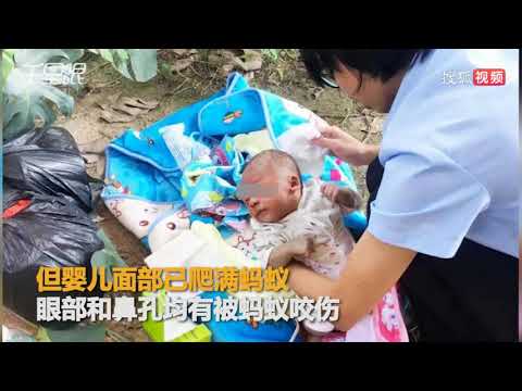 视频：婴儿被弃杂草丛中 被警方救起时面部爬满蚂蚁 