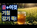 꿀과 이것 함께 드세요,마른기침에서 해방됩니다