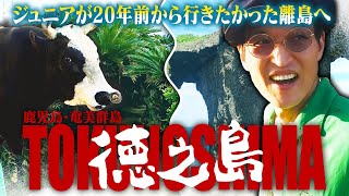 【離島旅・前編】ジュニアが20年前から行きたかった奄美群島の「徳之島」へ！