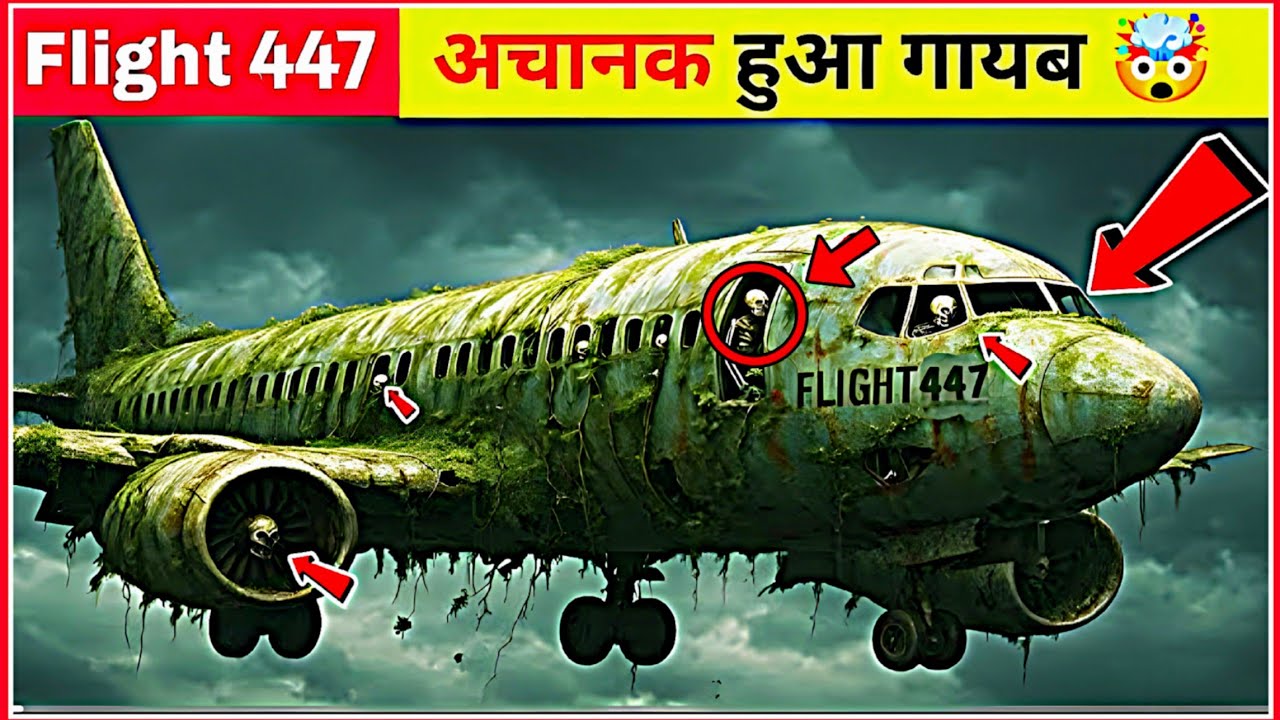 Mystery Of Flight 447 : दिल दहला देने वाली Story | Mysterious Flight 447 | ZackSnack|