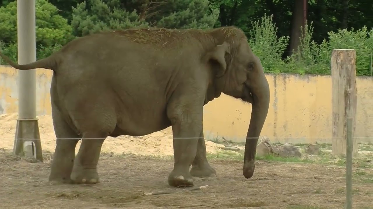 Poznávejme Česko - ZOO Ostrava