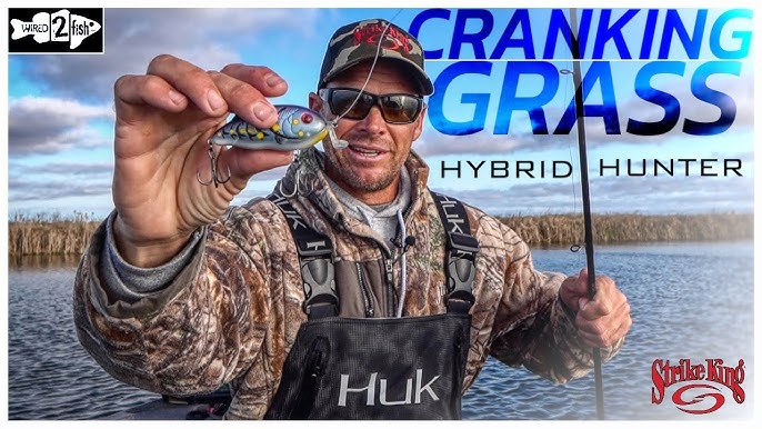 KING SHAD PRODUCT REVIEW ( Strike King discontinued lure ) 