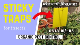 Sticky Traps For Insects | Yellow Sticky Traps In Hindi | Benefits of placing sticky traps in the...