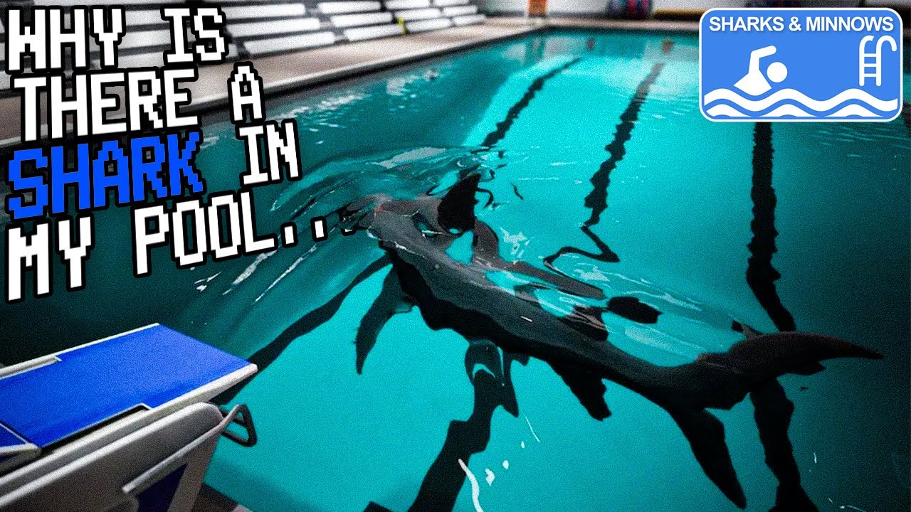 Why Is There Is A HAMMERHEAD SHARK In My Pool.