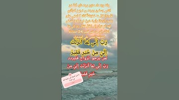 سورة القصص اية23-25 #الله #اكسبلور #المصحف #allah #تيك_توك #god #حالات_واتس #لايك #اللهم#يارب#muslim