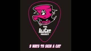 The Alicat Project - 9 Ways To Skin A Cat