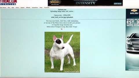 MySpace Tips & Facts : Animating Pictures for MySpace