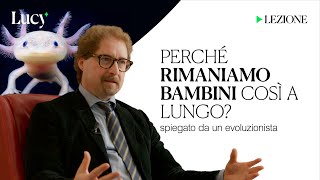 Perché rimaniamo bambini così a lungo? La lezione di Telmo Pievani | Lucy - Sulla cultura