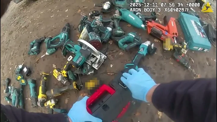 Met seizes £80,000 of ‘stolen goods’ at car boot sale