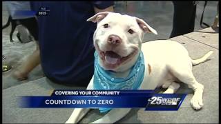 Countdown to Zero adoption event