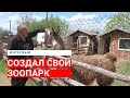 Фермер, который создал собственный зоопарк под Минском с верблюдами, альпаками, тигром и леопардом