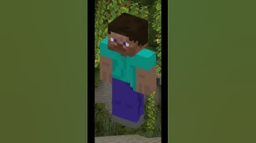 Warden VS Steve #fyp #shorts #minecraft #wildupdate #warden