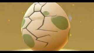 Pokemon Go - Hatching 5.0 Km - 2 Eggs - What's Inside?
