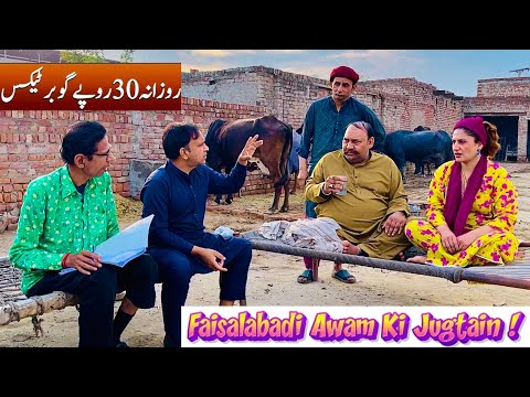 Tasleem Abbas and Soni New Comedy || Bhains Ke Gobar Par 30 Rupay Tax || @TasleemAbbasOfficial 