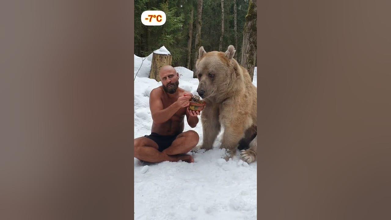 Кормит медведя