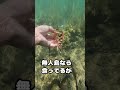 釣り　釣り方　釣りの始め方