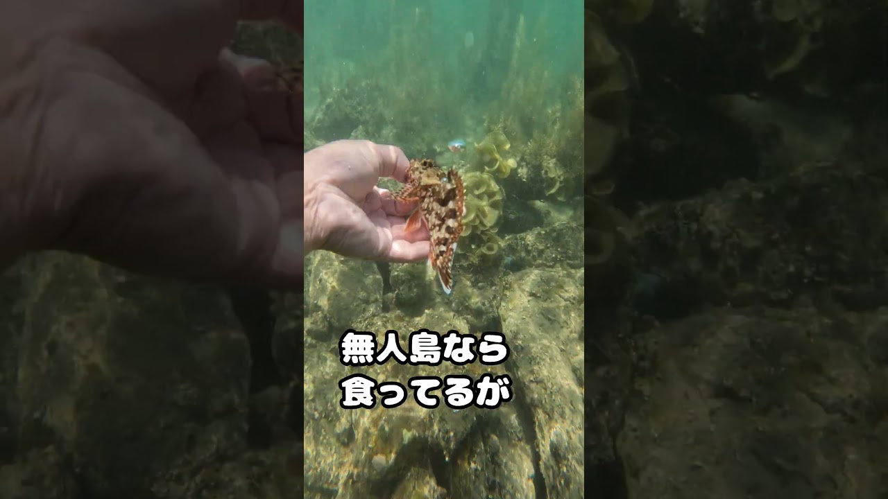 釣り　釣り方　釣りの始め方