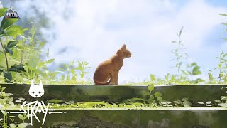 Lets Play Stray (Finale) Escaping Catcatraz And The Dome