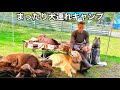 大型犬4頭と行ったドッグランサイトが最高過ぎました…【夫婦キャンプ】