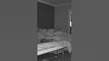 real spirit orb 😱 #caughtoncamera