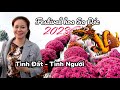 Festival hoa sa c 2024khng khip hng triu lt ngi v tham d ngy l khai mc  shvlog 430