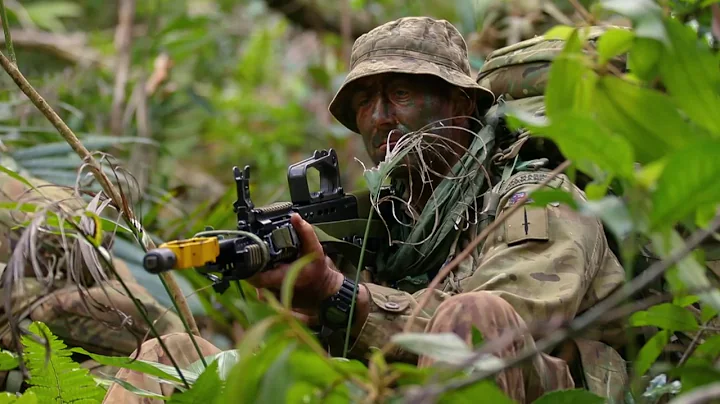 Welcome to the jungle...🕷️