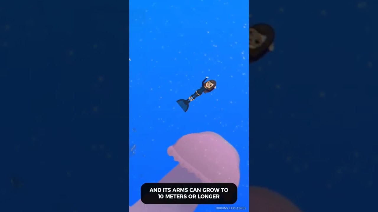 Strangest Things Found in the Ocean- Phantom Jellyfish 