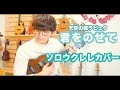 【演奏動画】君をのせて - 井上あずみ - ソロウクレレカバー