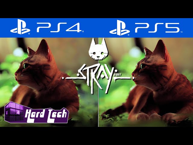 Stray: comparativo analisa os gráficos e desempenho no PS4, PS5