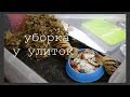 УБОРКА У УЛИТОК