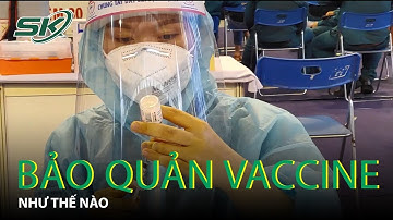 Sự thật về độ khó trong bảo quản vắc xin phòng COVID-19