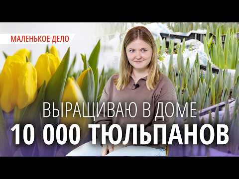 Юрист в декрете устроила ферму тюльпанов в доме. Как это работает