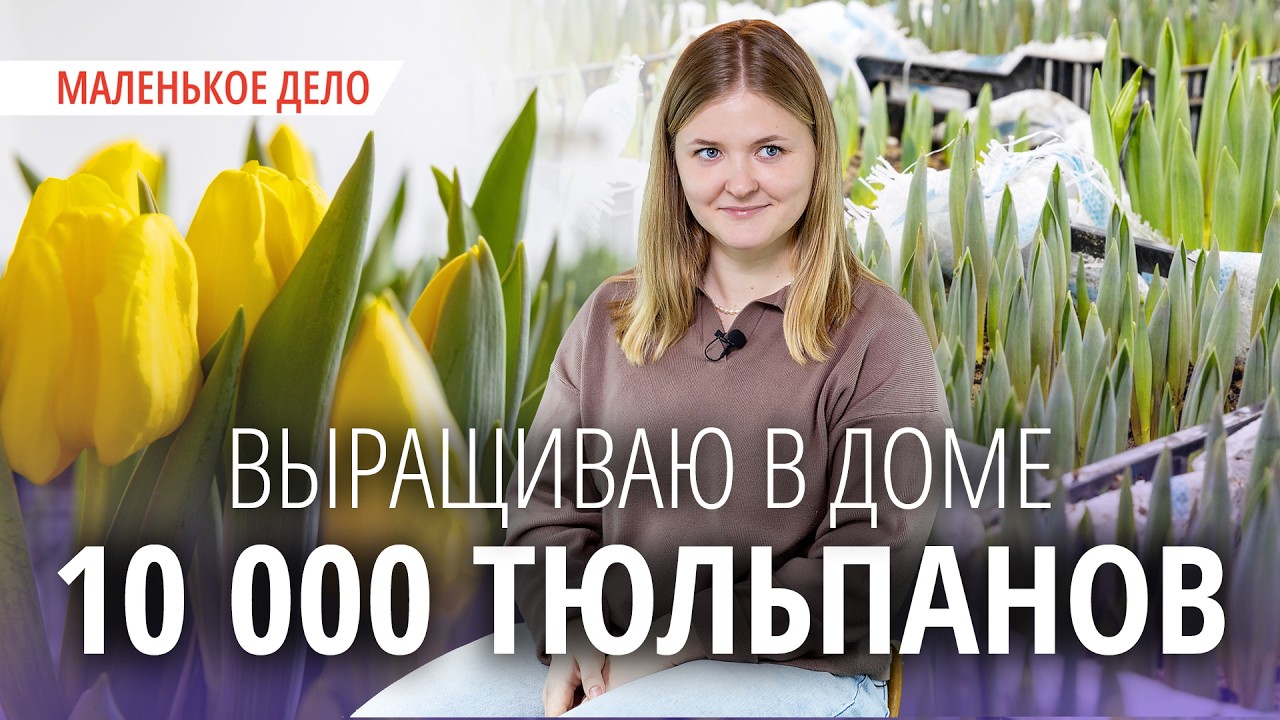 Юрист в декрете устроила ферму тюльпанов в доме. Как это работает