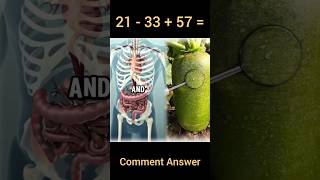 What’s REALLY Inside Your Body? 😨 Shorts #HumanBody #Anatomy #Science #Medical #ScienceFacts
