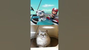 Thumbnail of 【PAW Patrol】Cat Pack Rescue a Construction Worker! 🚧 #shorts