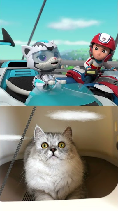 【PAW Patrol】Cat Pack Rescue a Construction Worker! 🚧 #shorts