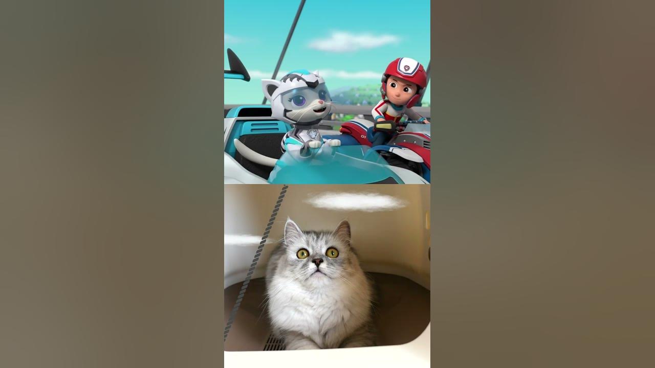 【PAW Patrol】Cat Pack Rescue a Construction Worker! 🚧 #shorts