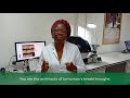 CGIAR Genebanks: Women & Girls in Science Day 2024